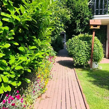 Karolina Władysławowo